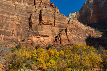 Scenic Zion National Park Landscape