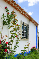 Fototapeta na wymiar Typical Portuguese rural house (white wall and blue line) and roses bushes.