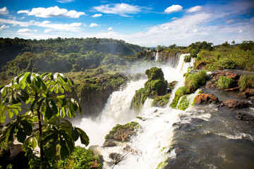 Top view of Iguazu waterfalls in Argentina