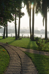 Obraz premium palm trees at park riverside