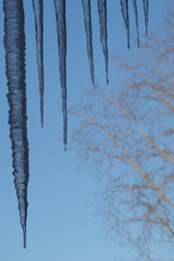 Icicles, city, roof, spring, trees, sky.
