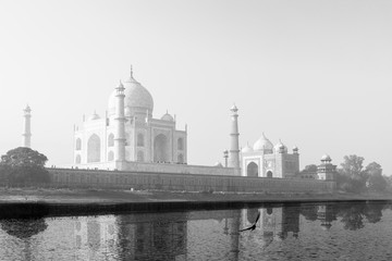 Taj Mahal reflected in Yamuna River in black and white. - Powered by Adobe