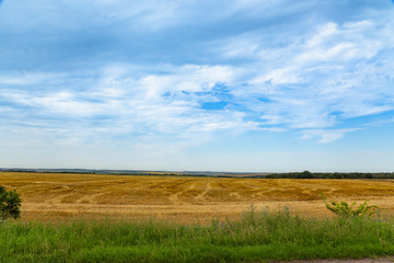 Cut hay in the fields. Harvesting. Bright blue sky and colorful fields in a rural area.