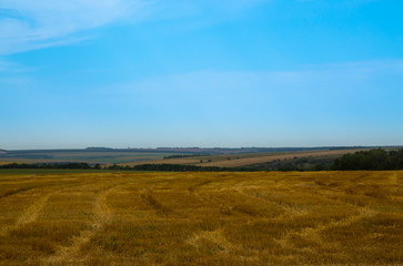 Cut hay in the fields. Harvesting. Bright blue sky and colorful fields in a rural area.