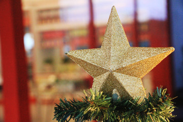 christmas and gold star on tree
