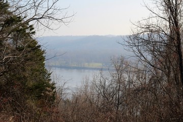 A view of the fog on the river though the trees of forest.