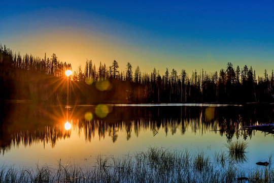 Reflected Sunrise, Sun start with Trees by Lake © Mark