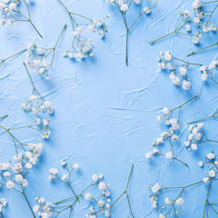 Frame  from fresh white gypsofila  flowers on blue textured background.