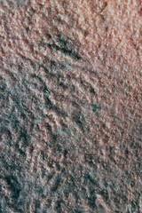 art color felt background texture, wool handmade textile