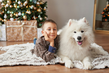 Christmas Child boy with dog Samoyed . Christmas, winter and people concept.Children playing with puppies under Christmas tree. Christmas greeting card. Happy New Year! New Year at home