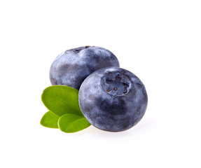 Blueberries Isolated on White Background