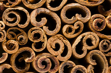 Macro photography of the cinnamon sticks. Abstract background