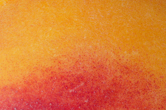 Macro Photography Of The Skin Of An Organic Peach