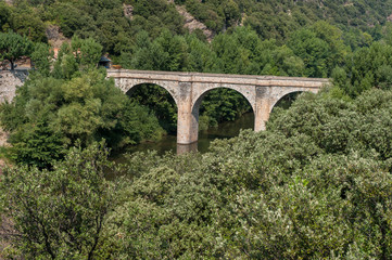 Fototapeta na wymiar Brücke bei Roquebrun-Ceps in Südfrankreich