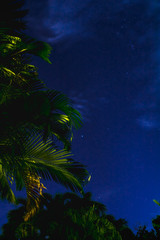 Tropical night star sky