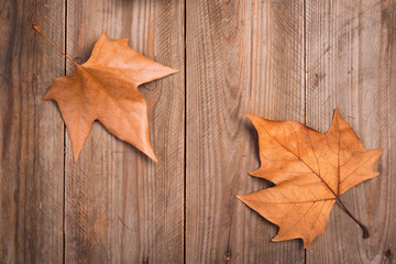 Naklejka na ściany i meble Autumn leaves on a wooden background