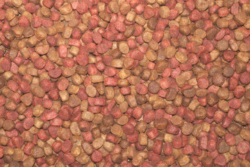 Multicolored dry pet food close up, background image