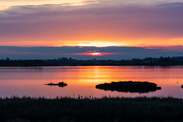 Natural Park of the Po delta in Italy