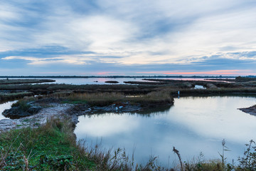 Obraz premium Natural Park of the Po delta in Italy