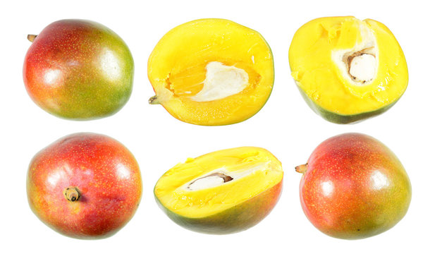 Set of ripe mango fruits isolated on white background