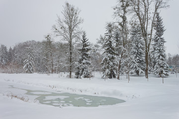 Winter park. View of the frozen canal 
