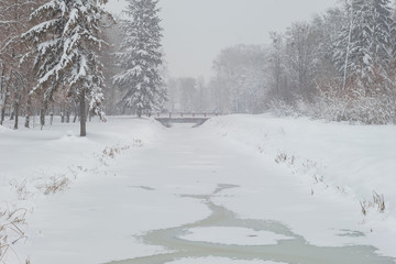 Fototapeta na wymiar Winter park. View of the frozen canal and the bridge