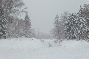 Winter park. View of the frozen canal 
