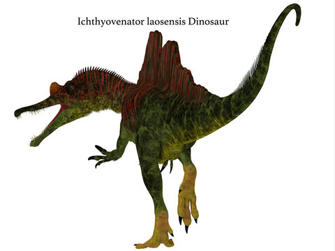 Ichthyovenator Dinosaur Tail with Font - Ichthyovenator was a carnivorous theropod dinosaur that lived in Laos, Asia during the Cretaceous Period.