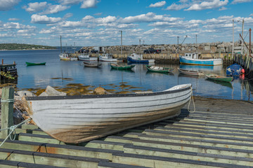 Fototapeta premium tuna flat in the forground