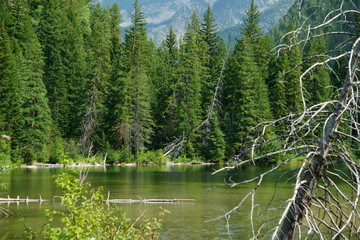 Lizard Lake near Marble, Colorado