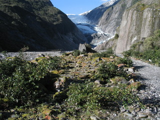 New Zealand. Nature  in Franz Joseph Glacier. Oceania