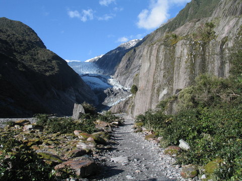 New Zealand. Nature  in Franz Joseph Glacier. Oceania