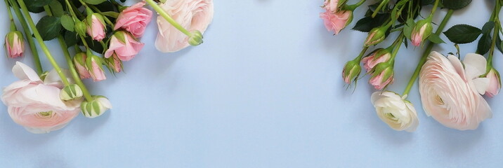 Flowers background banner. Pink flowers roses and ranunkulus  on pale blue background. Top view. Copy space.Holiday concept