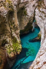 Fototapeta na wymiar Emerald Soca River Gorge in Slovenia