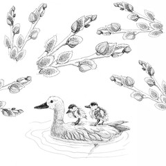 Willow and ducks black and white illustration