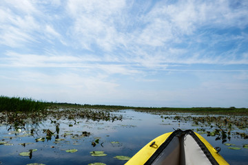 Nose Kayaking Flying Lake. The lake is overgrown with water lilies. The sky is cloudy. Self-isolation concept. Changing the philosophy of life concept.