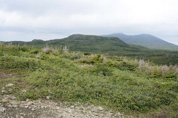 Gros Morne National Park Lookout Trail