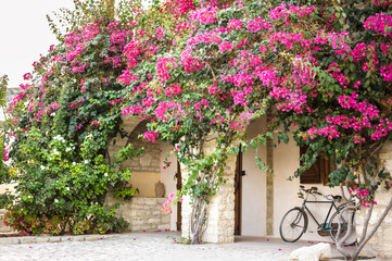 Fototapeta na wymiar Typical Greek or Cypriot house with curly flowers
