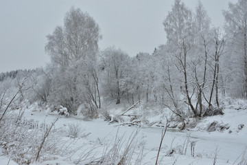 winter landscape