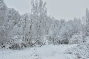 winter landscape with a frozen river and snowy forest