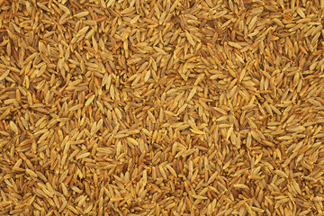 Cumin seeds background