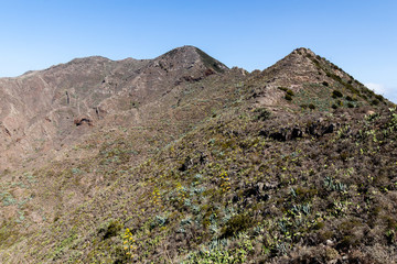 Masca Dorf im Teno Gebirge auf Teneriffa, Kanarische Inseln, Spanien