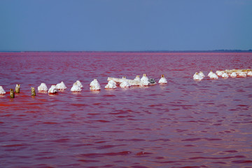Sosyk unique lake with extremely saline water of red color