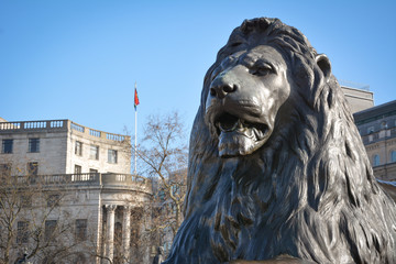 Lion Trafalgar Square - obrazy, fototapety, plakaty