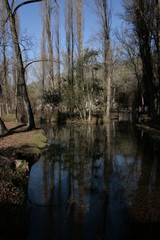 fonti del clitumno natura acqua pace