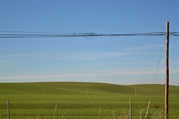 Green hills underneath a blue sky