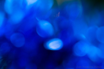 Luzes desfocadas