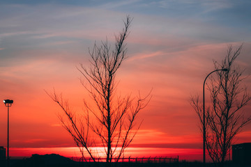 Fototapeta na wymiar Prairie sunset