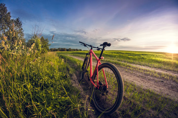 Bicycle near the road in the field at sunset