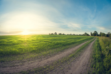 Obraz premium Landscape dirt road in a sowing field at sunset